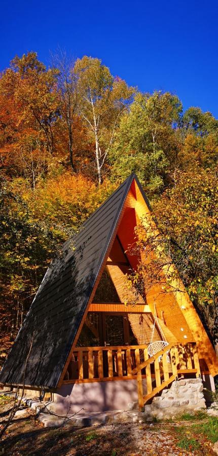 Casa - Cabana Tip A Frame, Cerna, Vaideeni, Valcea Cerna  Exteriör bild