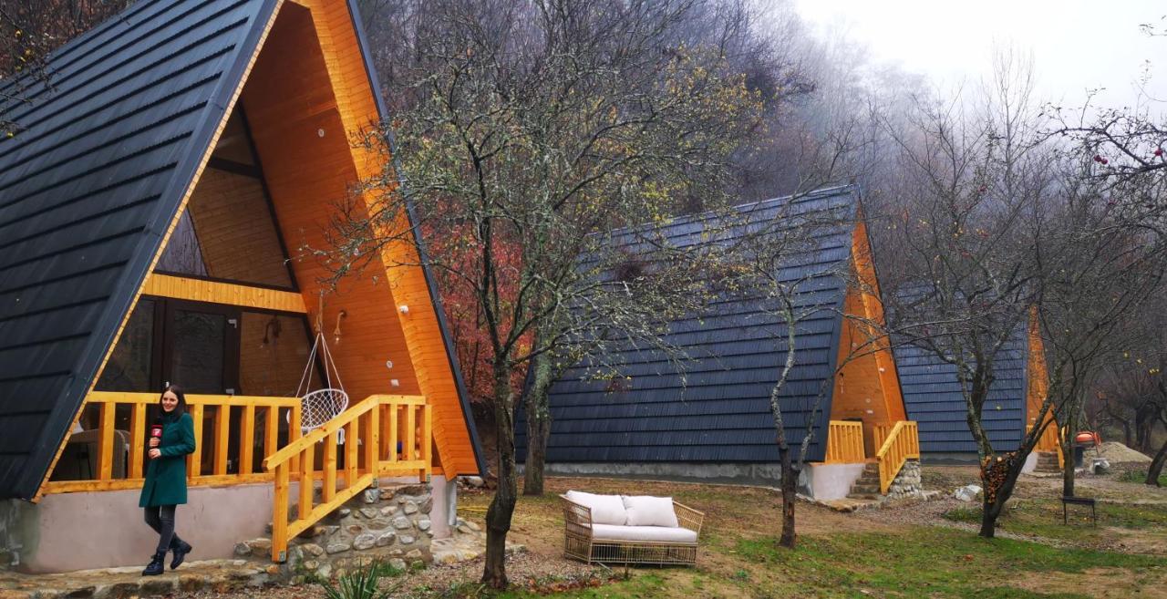 Casa - Cabana Tip A Frame, Cerna, Vaideeni, Valcea Cerna  Exteriör bild